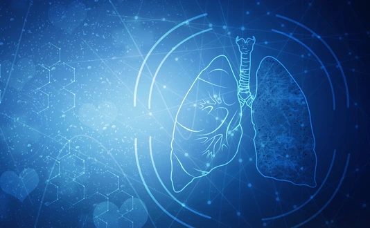 Healthy Human Lungs 2d illustration