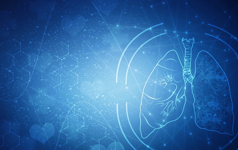 Healthy Human Lungs 2d illustration