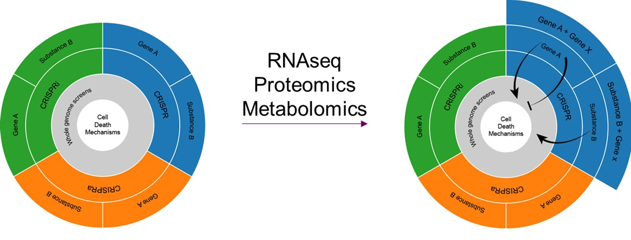 RNA Proteomics