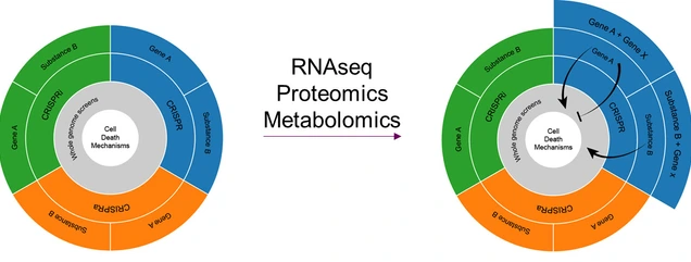 RNA Proteomics