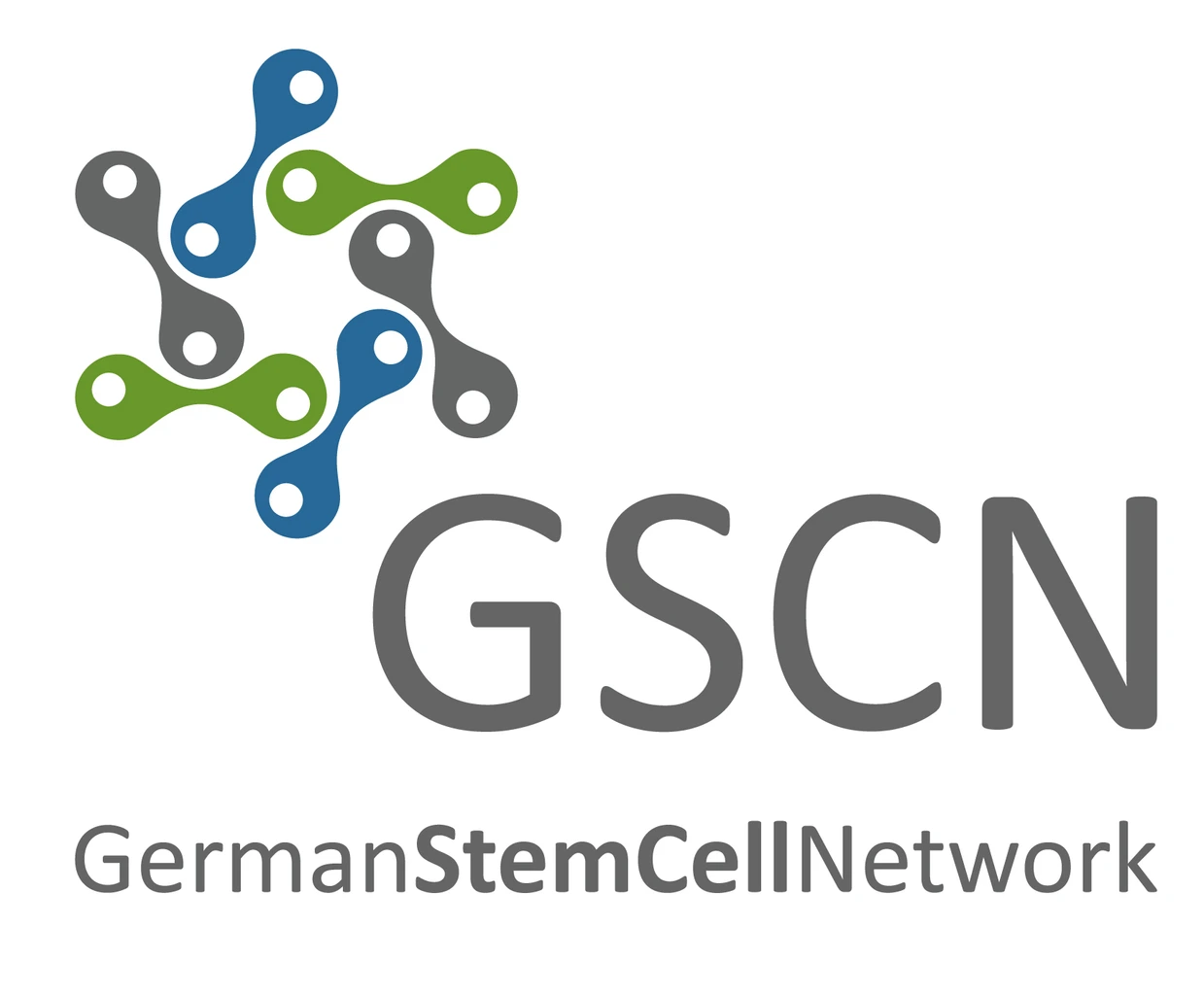 Logo_German_Stem_Cell_Network