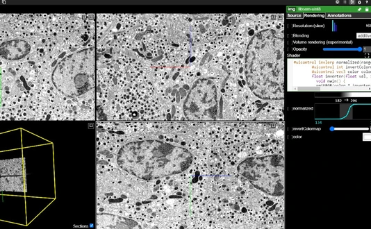 211013_NEWS_EM_Atlas_Nature_Fig.1
