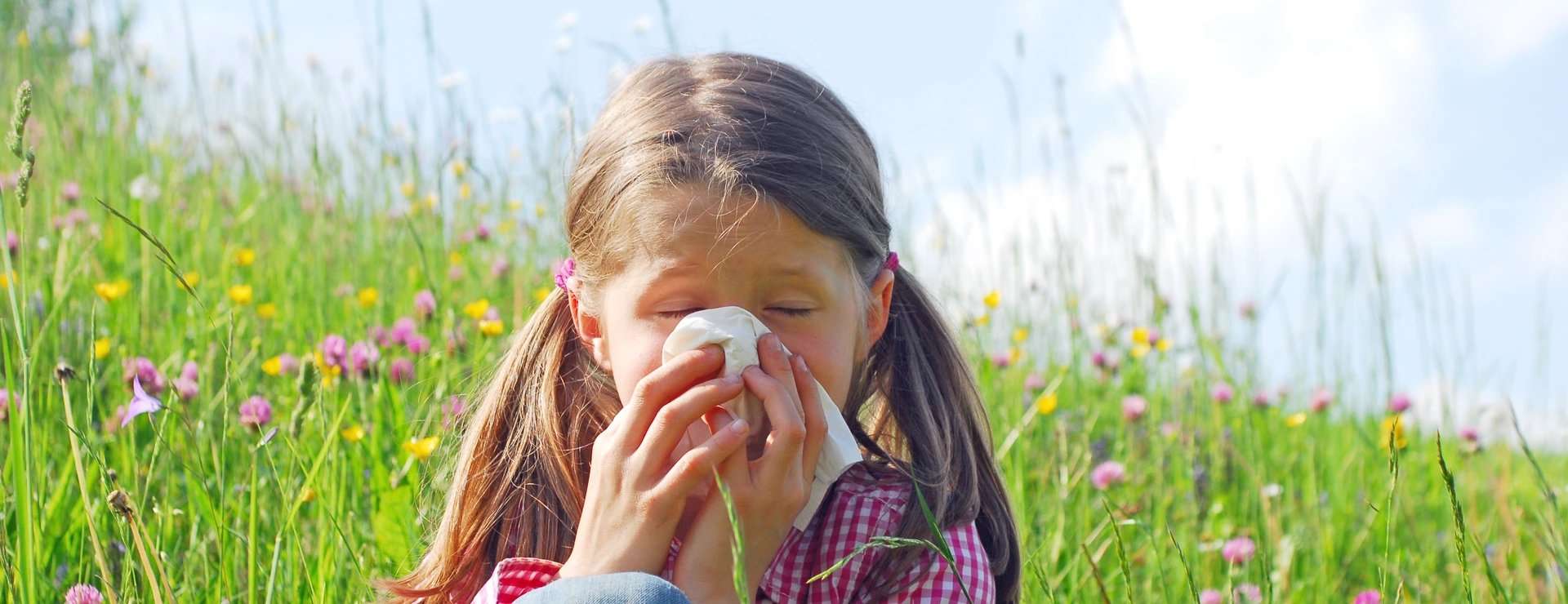 Heuschnupfen Pollenallergie