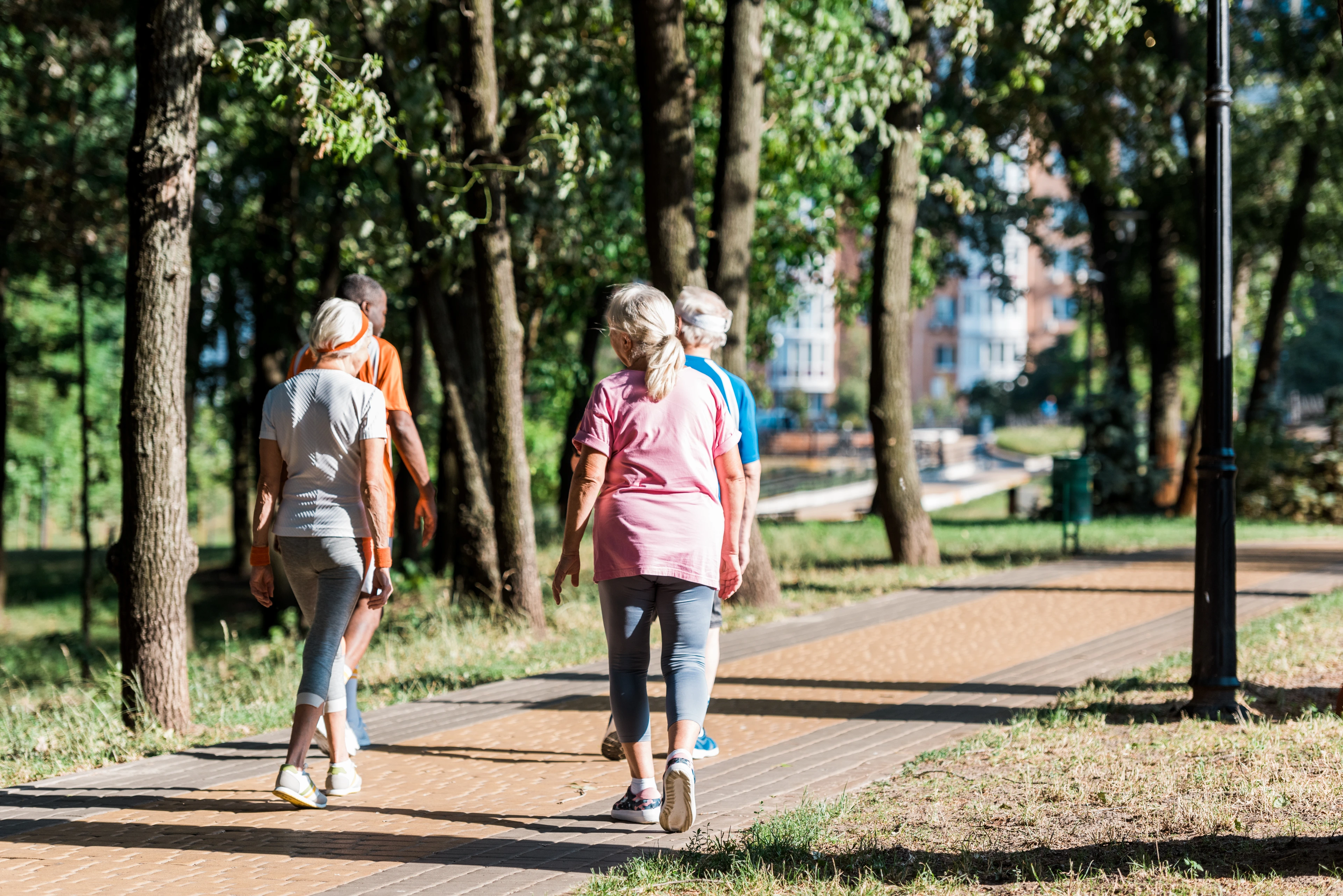 back view of senior women running near multicultural retired men