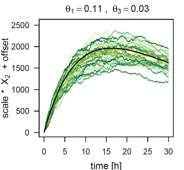 Project Bayesian Inference for Diffusions