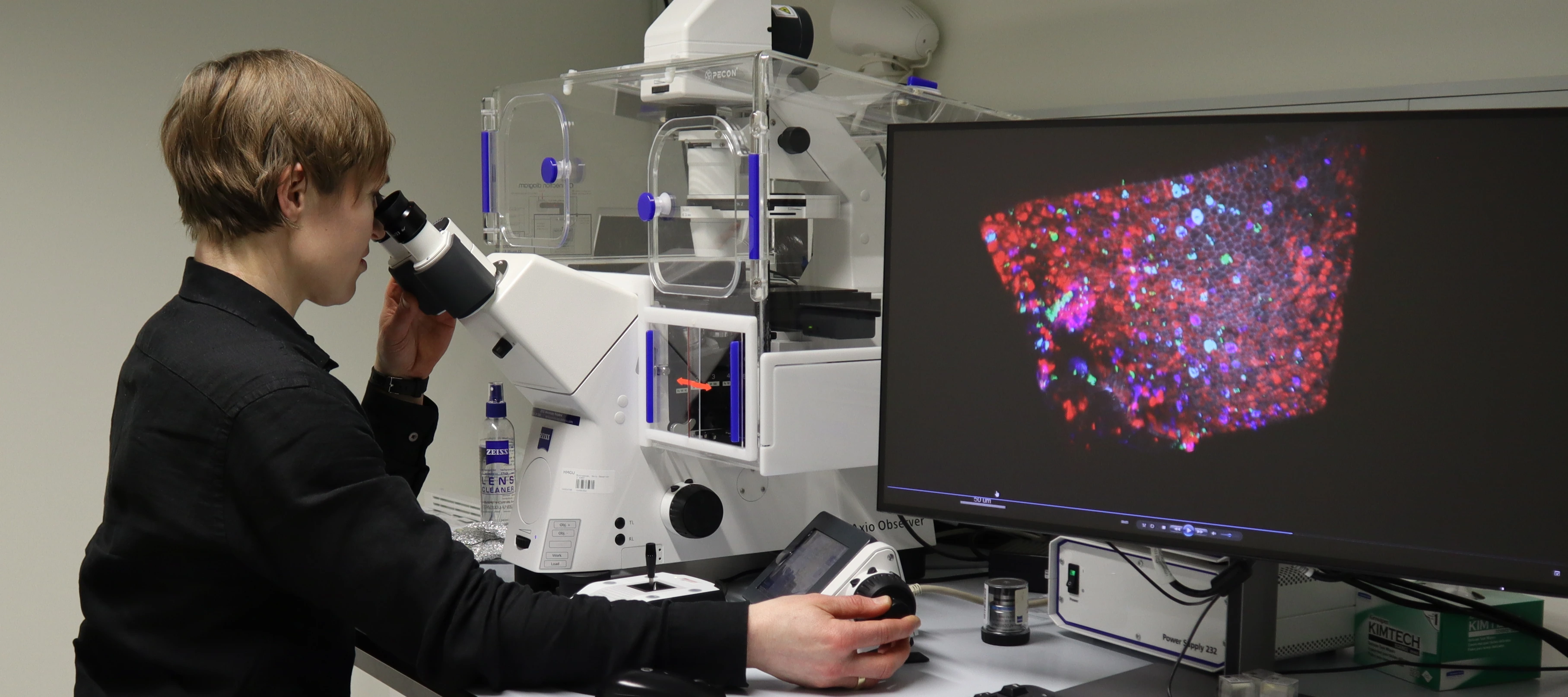 Janna Nawroth Mikroskop