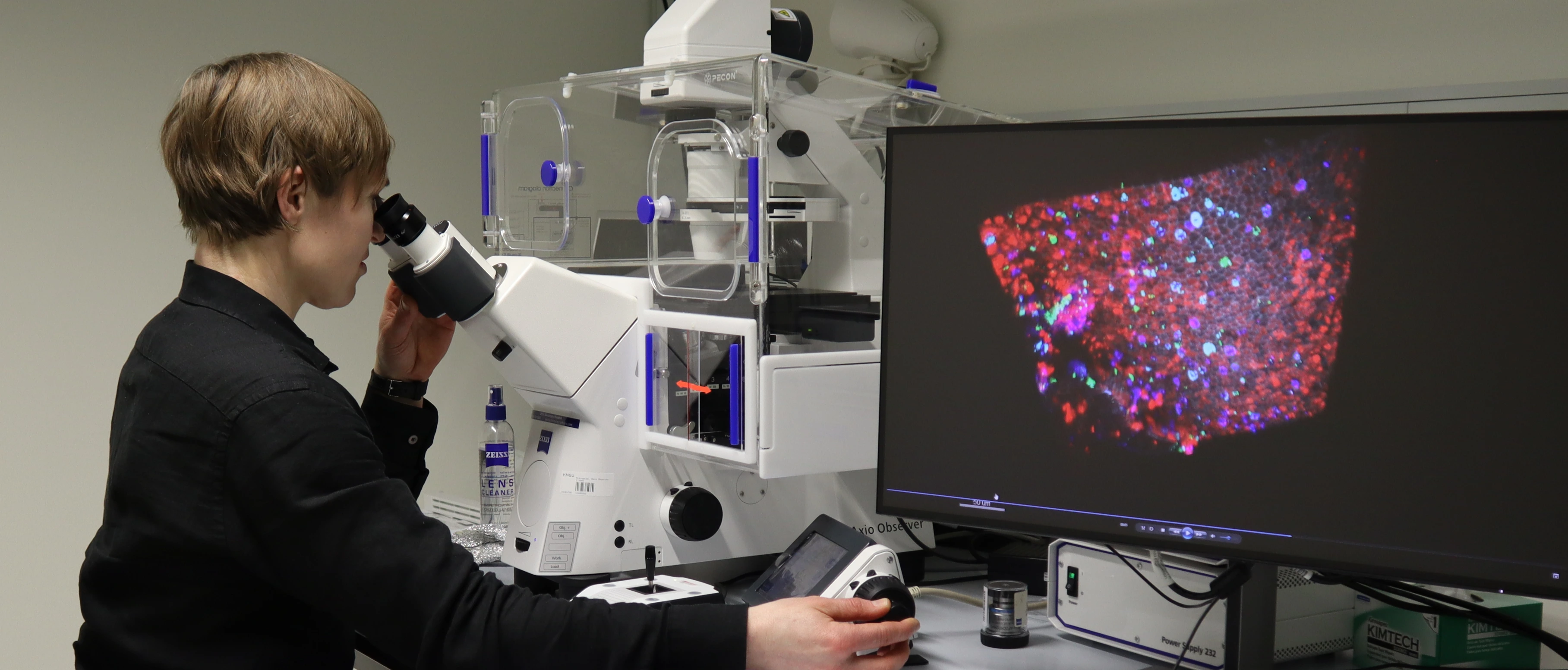 Janna Nawroth Mikroskop