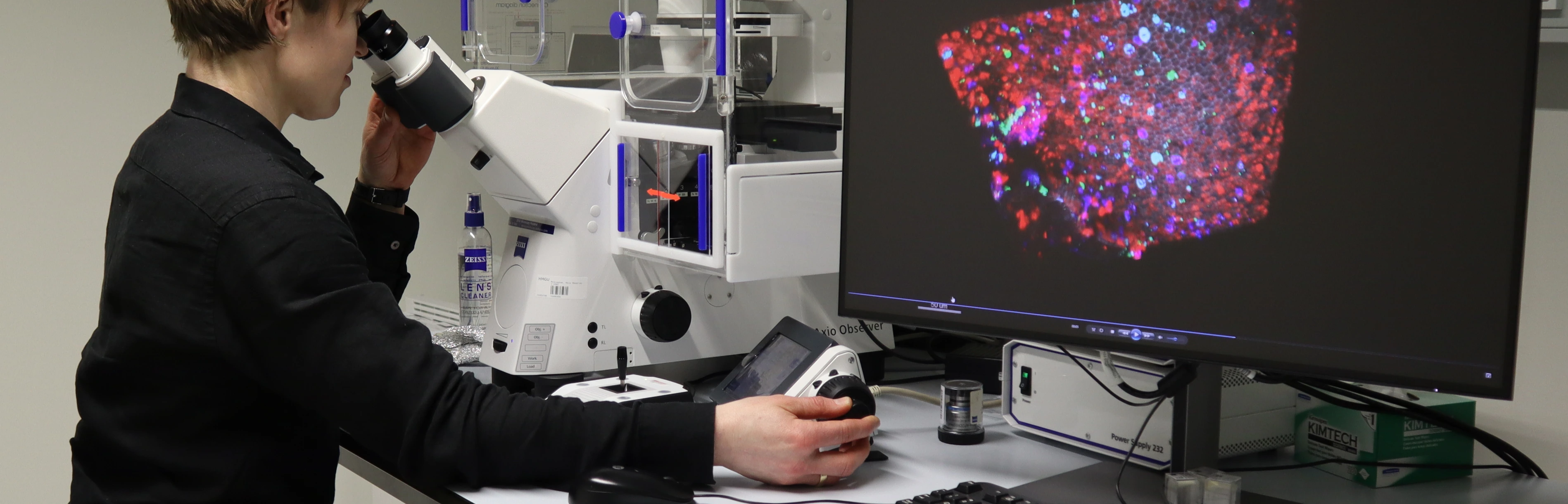 Janna Nawroth Mikroskop