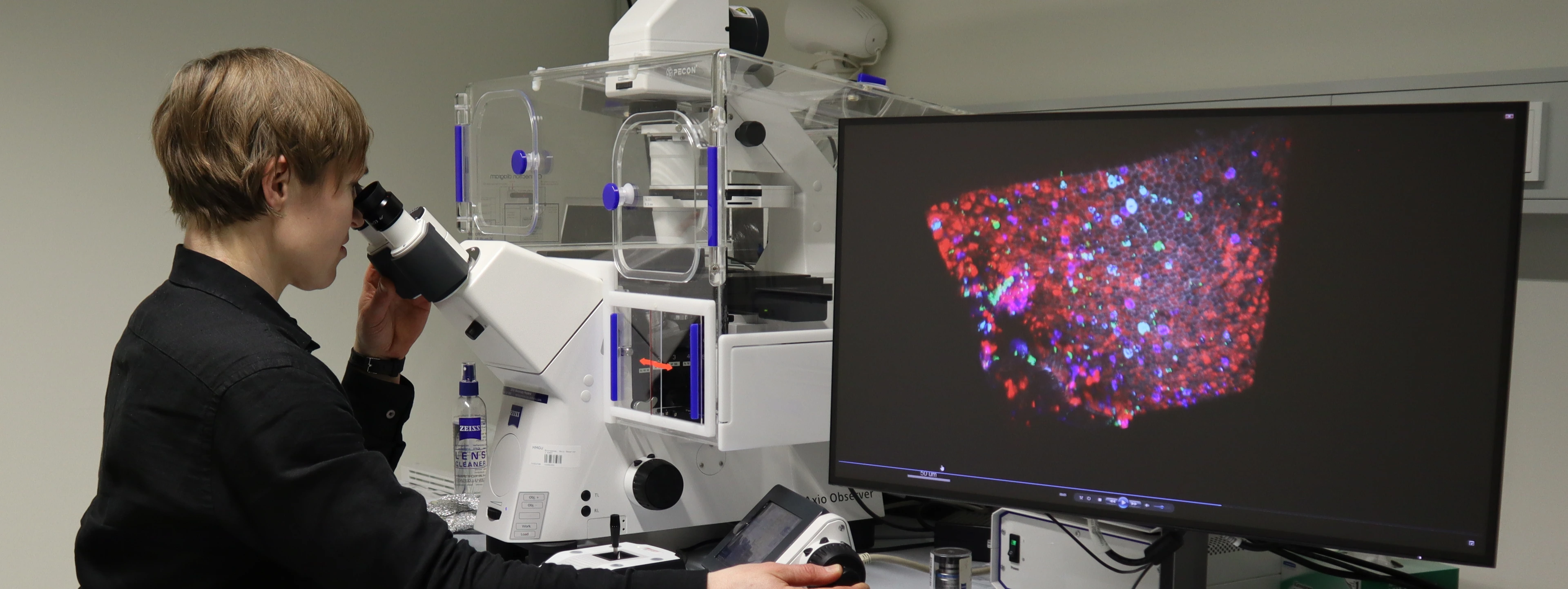 Janna Nawroth Mikroskop