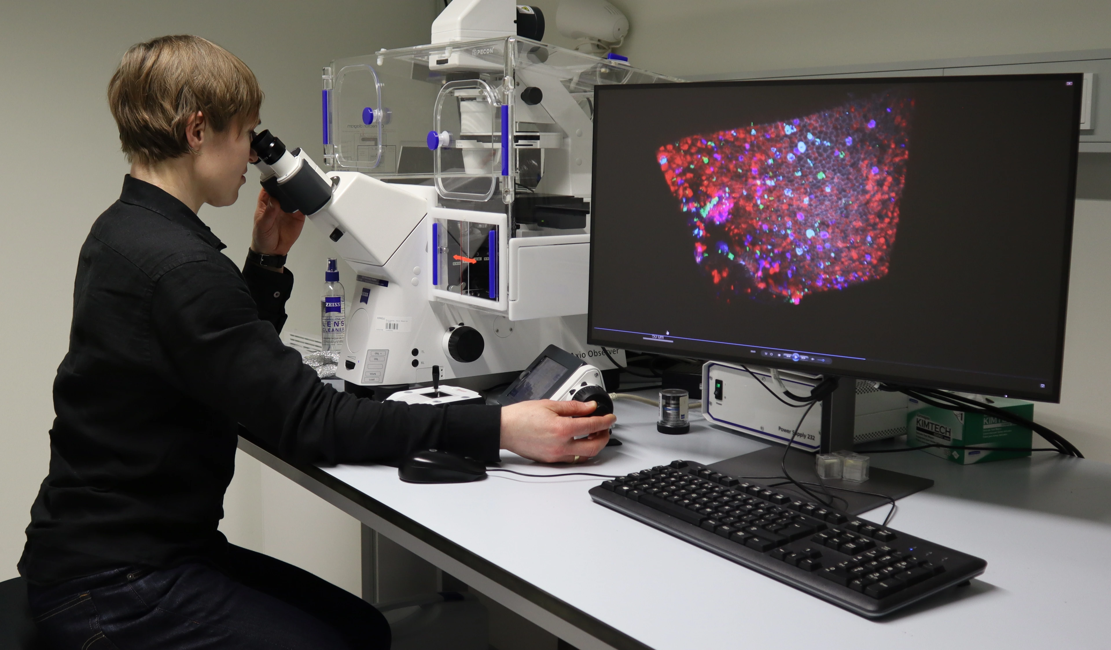 Janna Nawroth Mikroskop