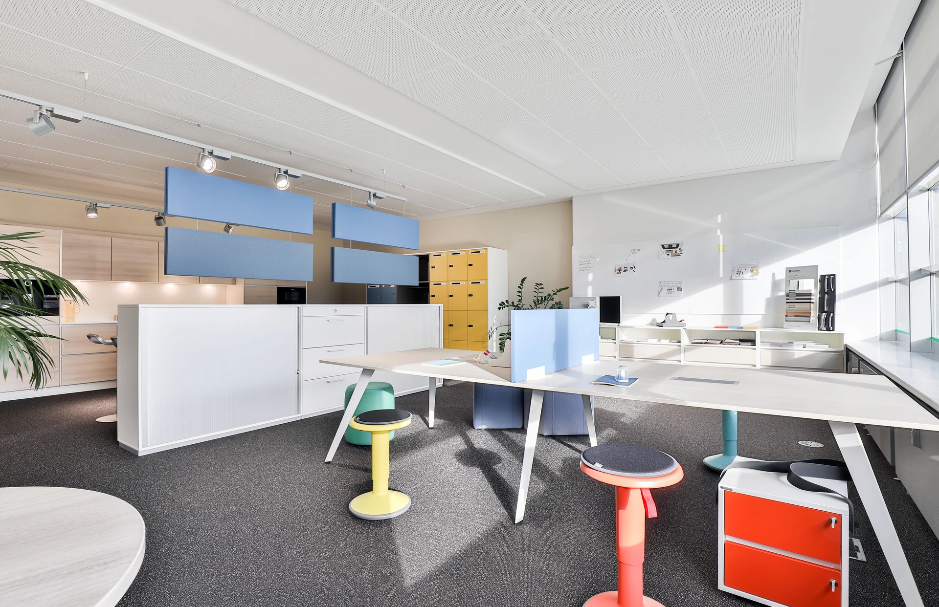 AcMedia Image