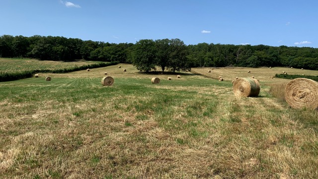Un mât de mesures météorologiques à Tamnay-en-Bazois