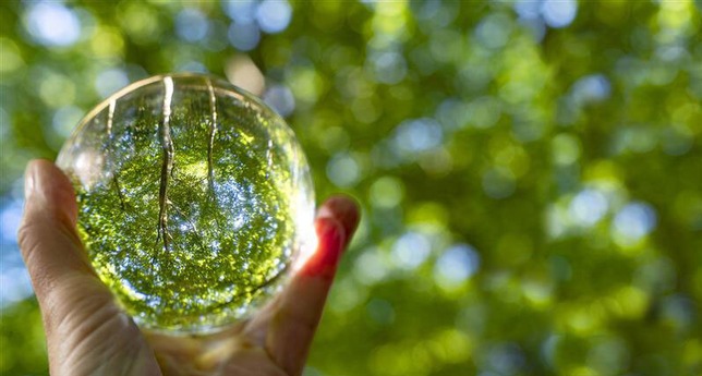 OBOI Occupational Burnout Inventory Schutz Prävention vor Burnout Burnout erkennen in der Arbeitswelt Glaskugel vor Natur grün