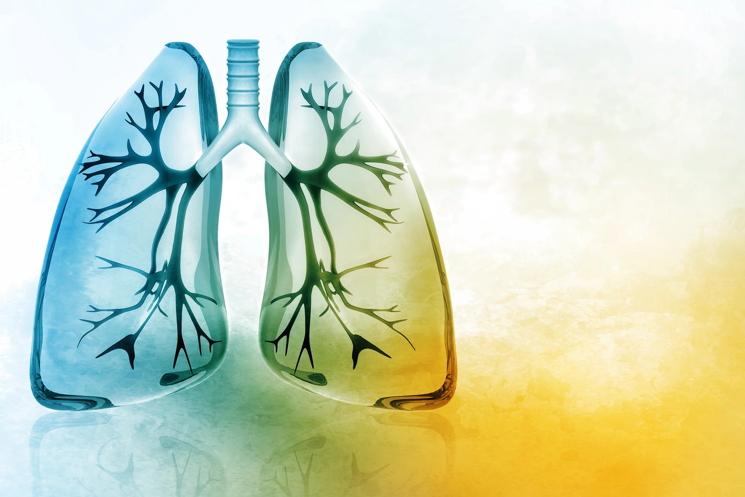 [Translate to German:] 