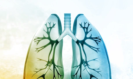 Human lungs