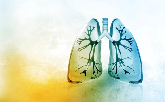 Human lungs
