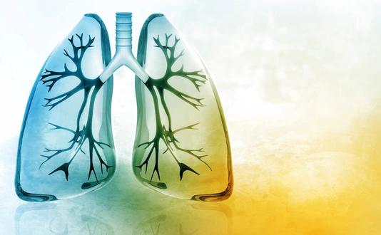 Human lungs