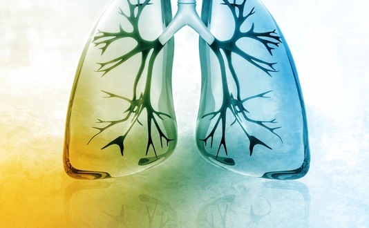 Human lungs