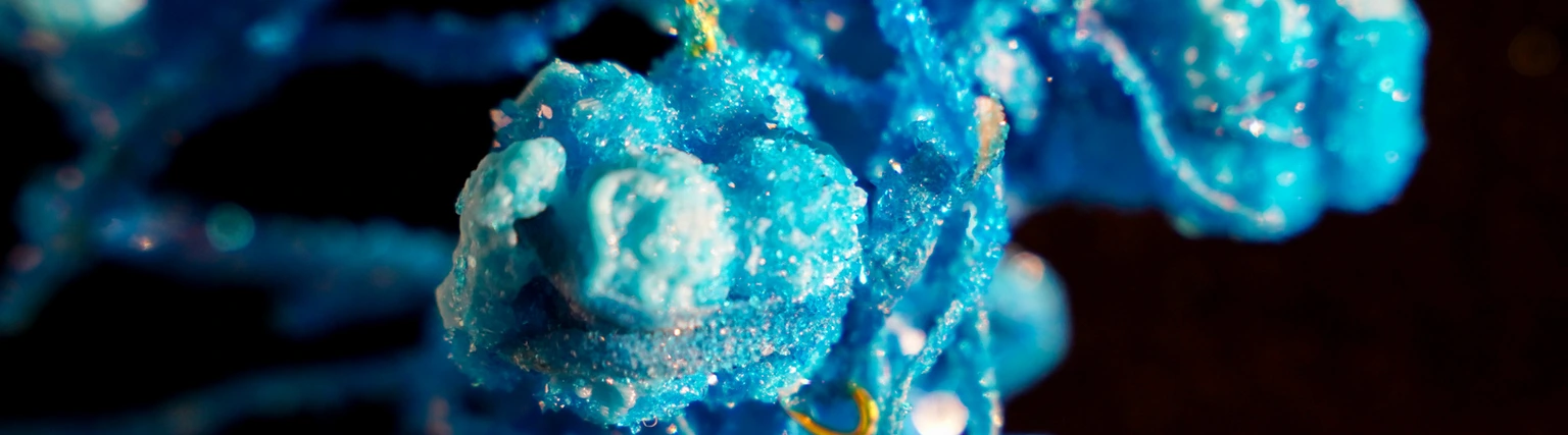 Cellular Reprogramming Necklace by Anna Dumitriu photo credit Audrey Rose Mizzi large_QUER