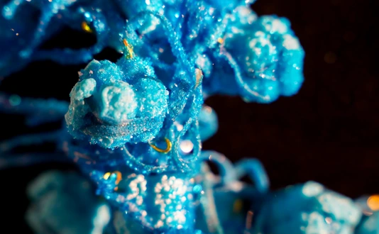 Cellular Reprogramming Necklace by Anna Dumitriu photo credit Audrey Rose Mizzi large_QUER