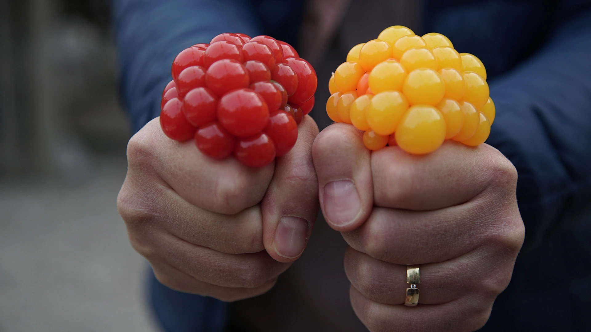 Pint of Science Squishy balls 2 Small