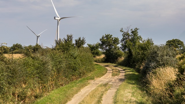 Grande Lande : 6 éoliennes en construction (53)