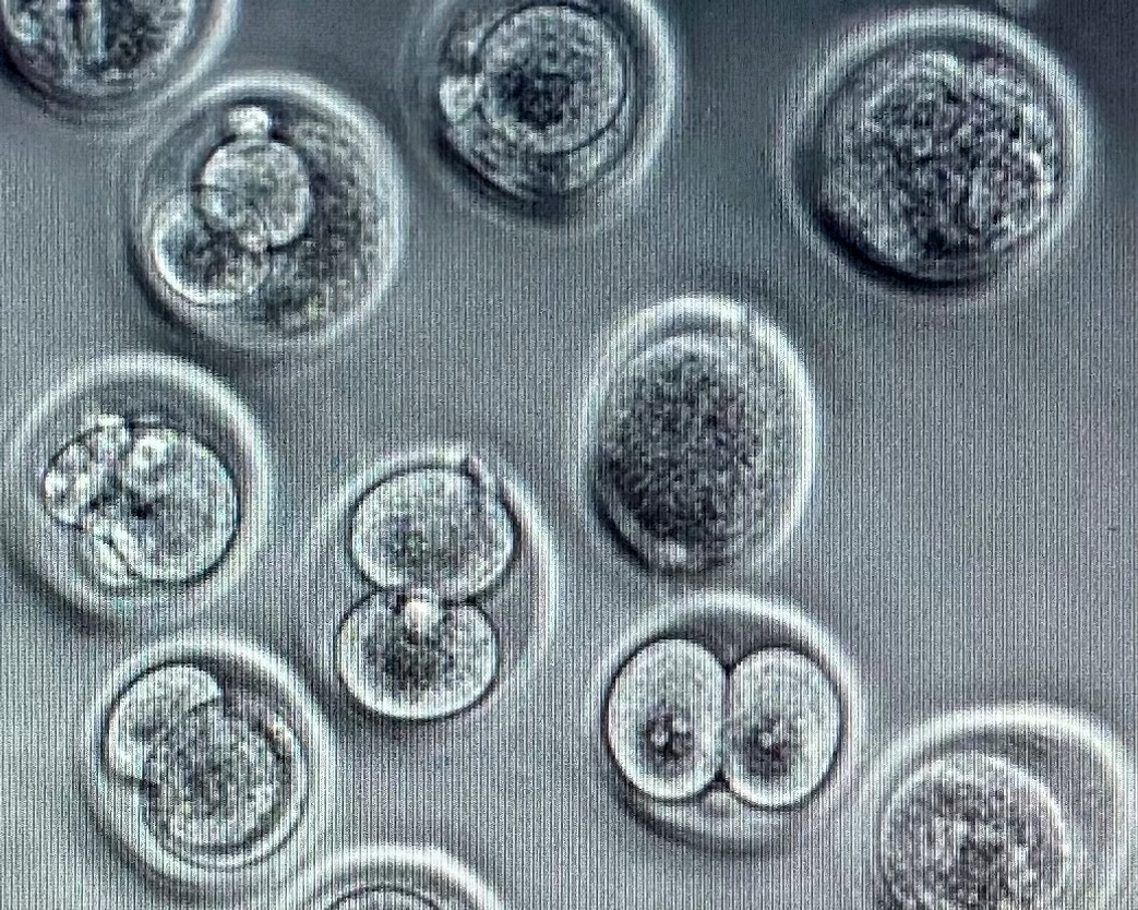 Art_the_IES_IMG_6586