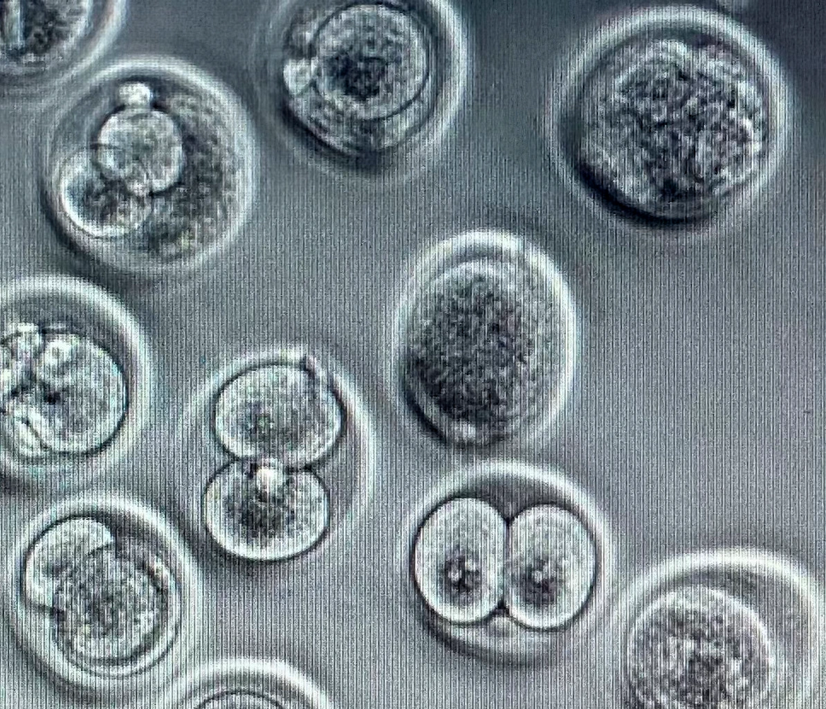 Art_the_IES_IMG_6586