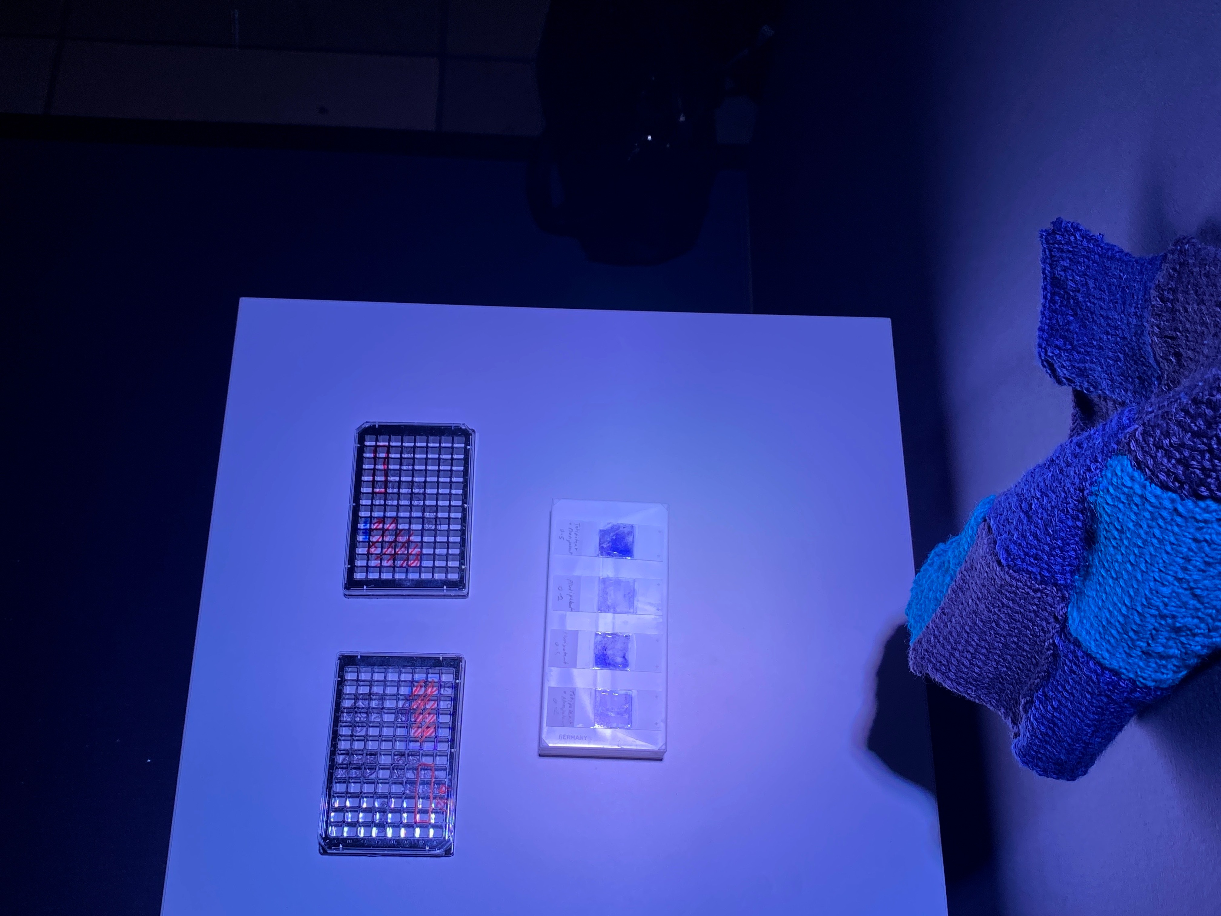 Art_the_IES_IMG_6266