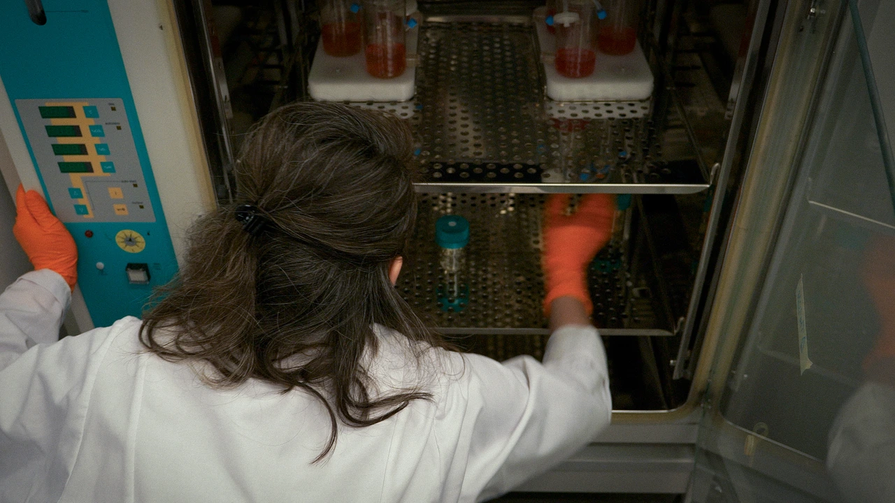 Semb Lab Behind the Scenes