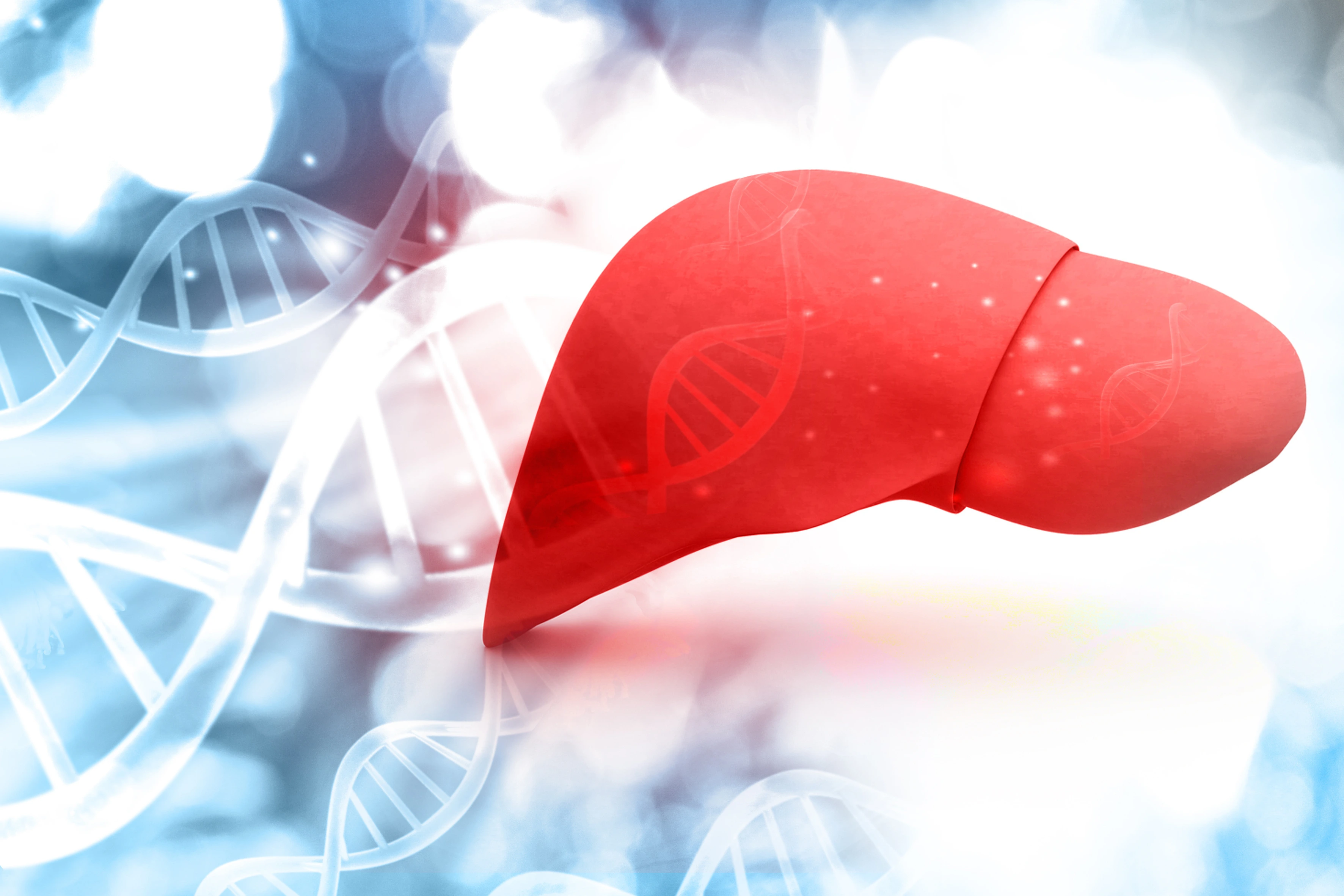 Human liver anatomy with DNA structure, 3d render. 3d render