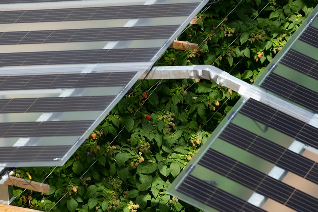 Agri-PV