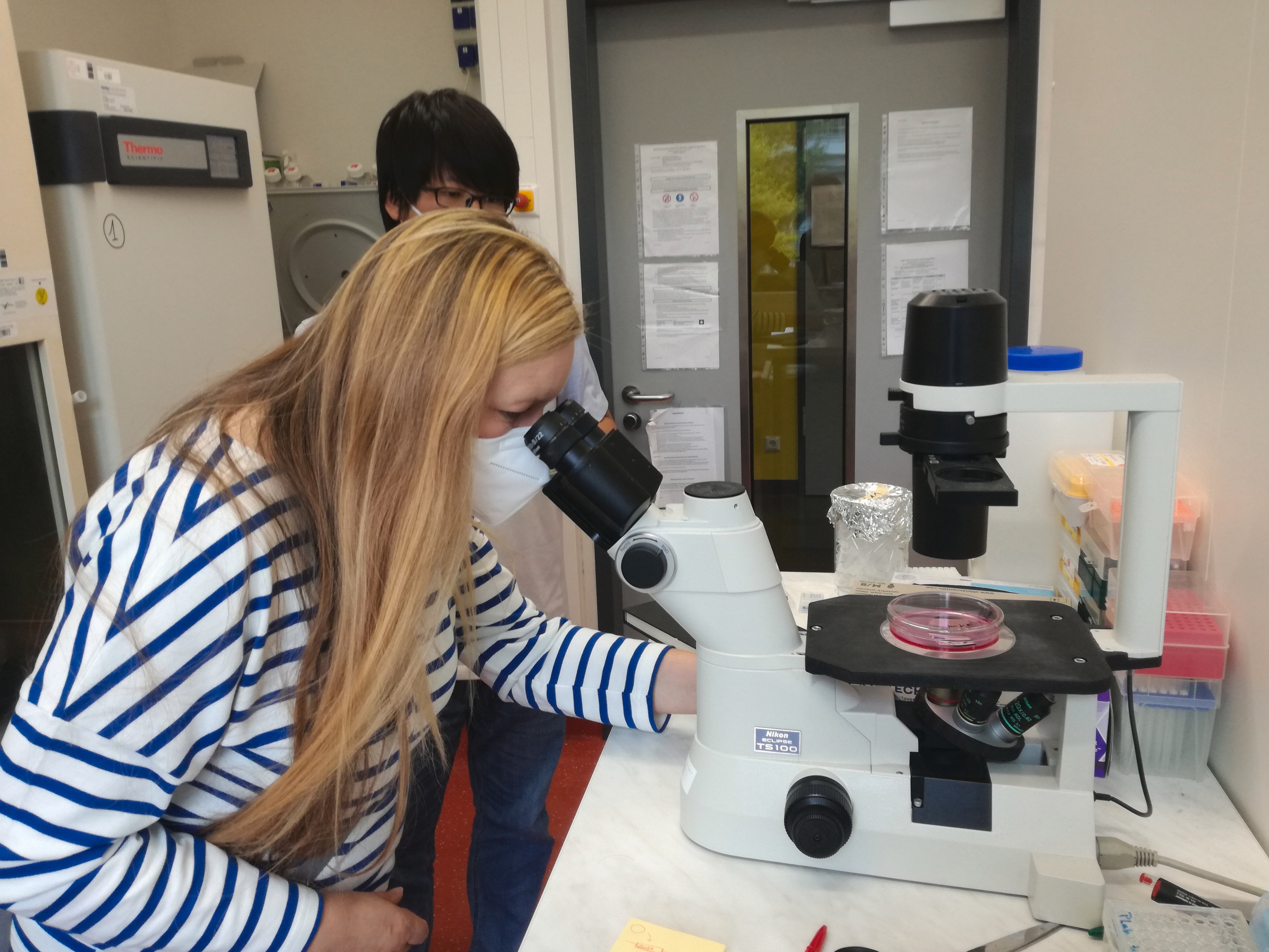 Art_the_IES_IMG_20210928_113759