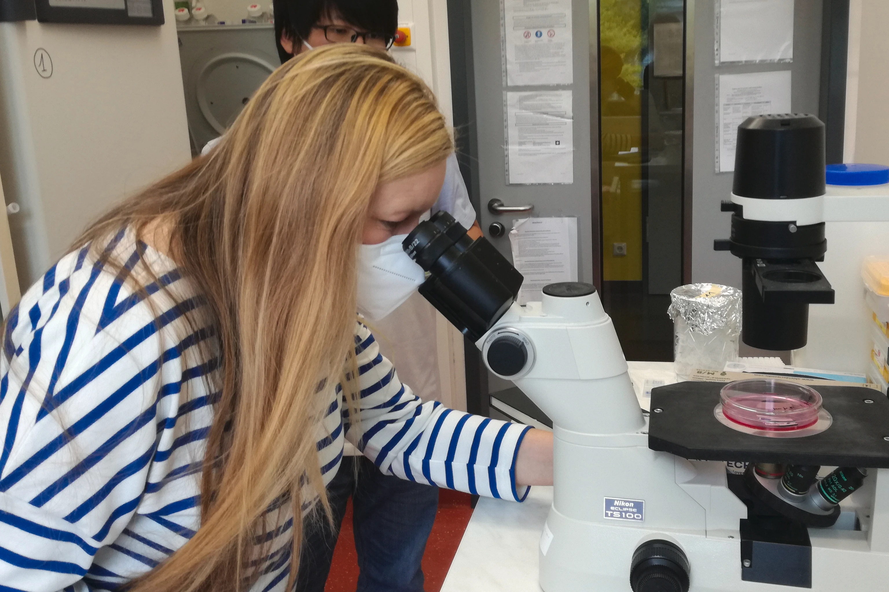 Die Künstlerin Anna Dumitriu taucht in den Forschungsalltag der Wissenschaftler:innen ein.