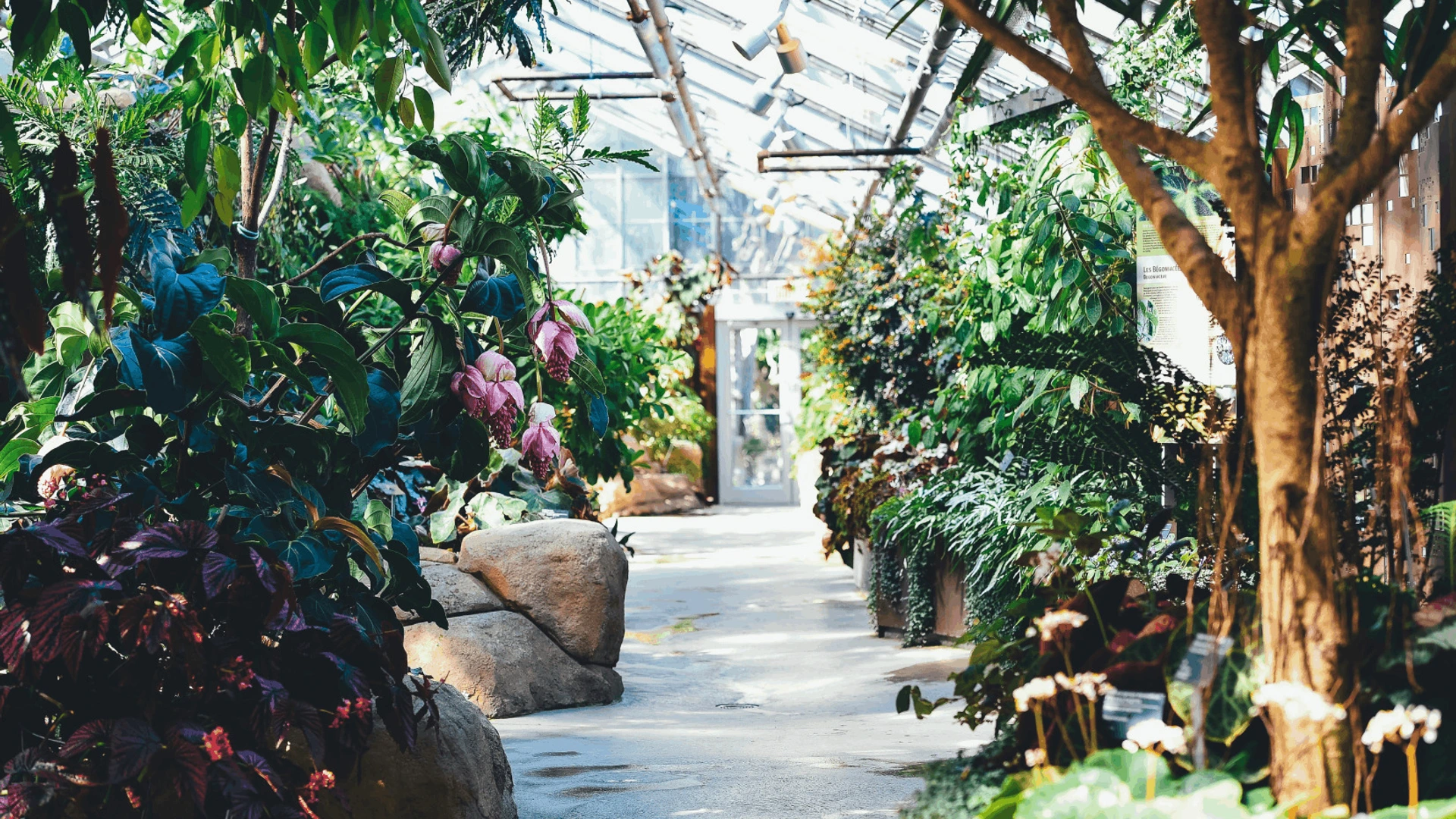 inp_indoor_farming_header