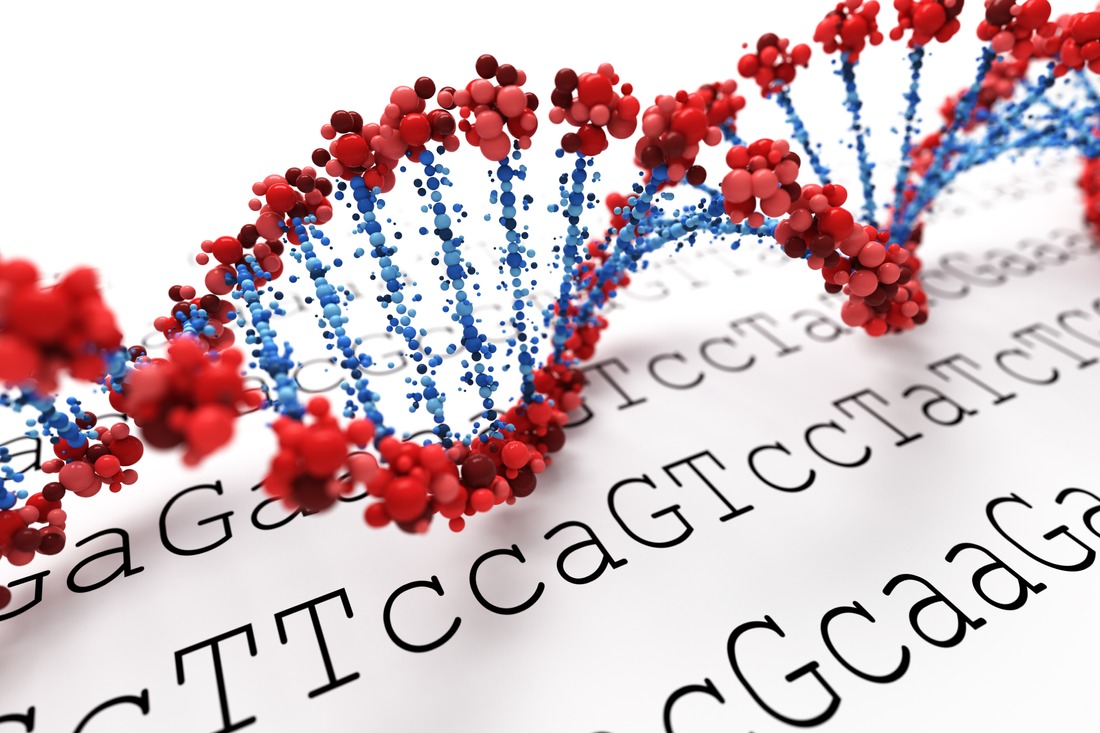 DNA - die Genen beeinflussen die Entstehung einer Allergie