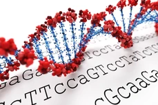 DNA background
