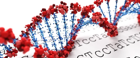 DNA - Genetische Veranlagung und Atopie