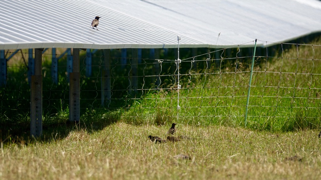 Solar park Stockbronner Hof 10