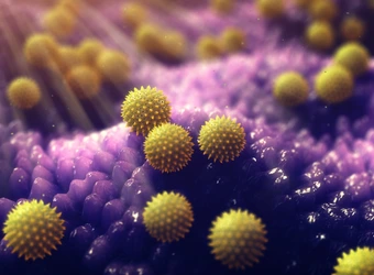 Pollen grains