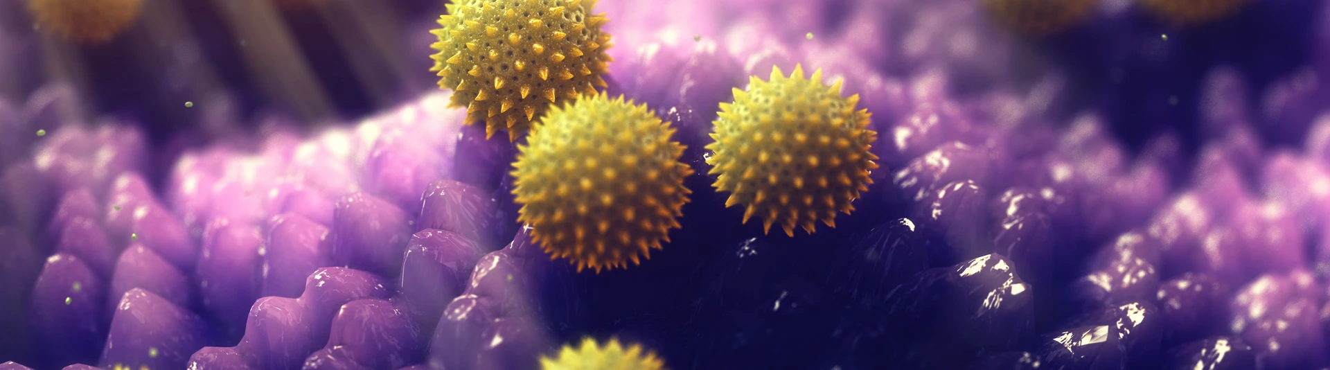 Pollen und Allergie