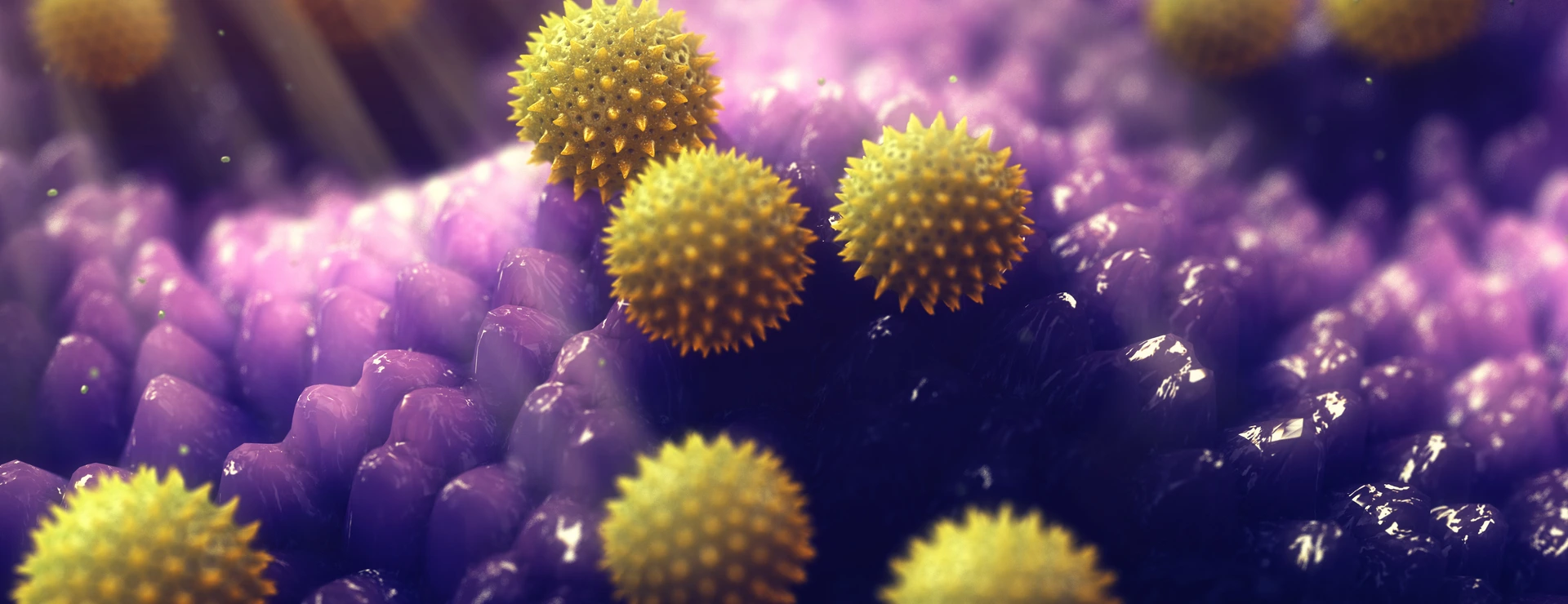 Pollen grains