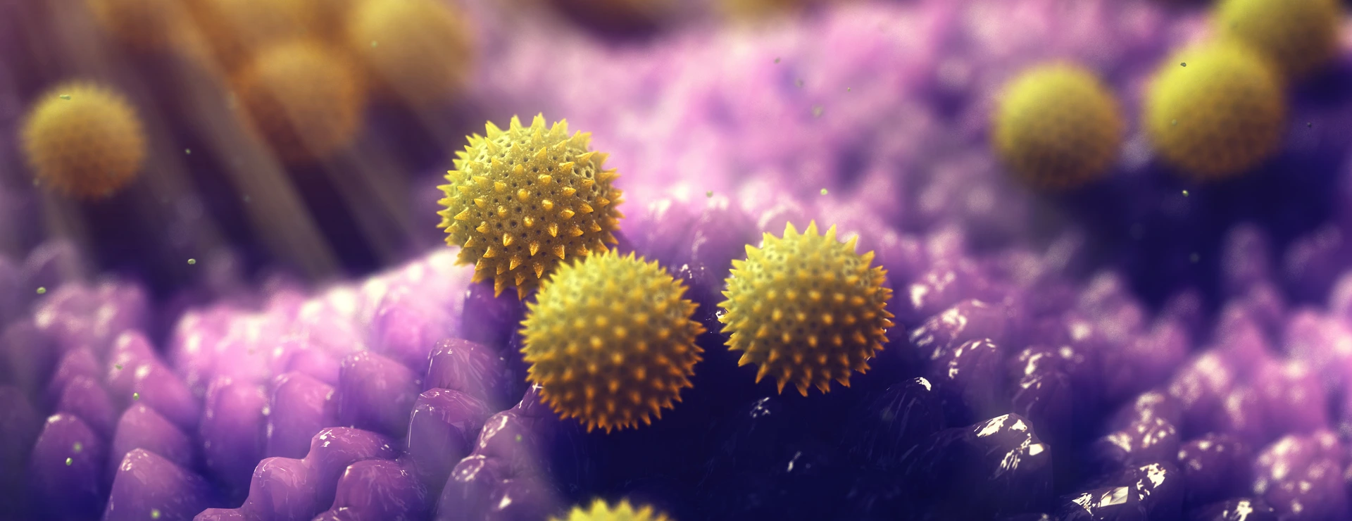 Pollen grains