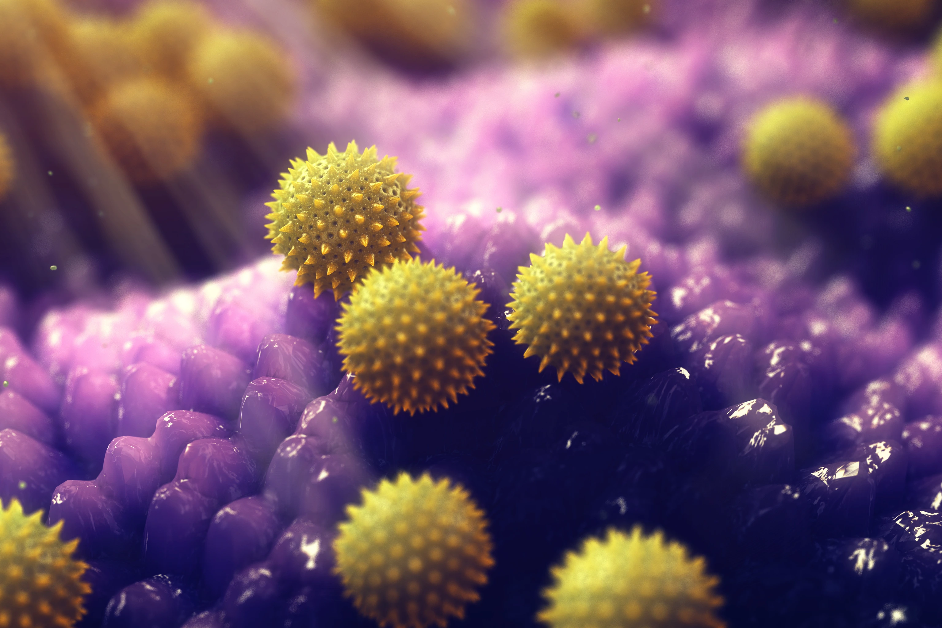 Pollen allergy is also known as hay fever or allergic rhinitis