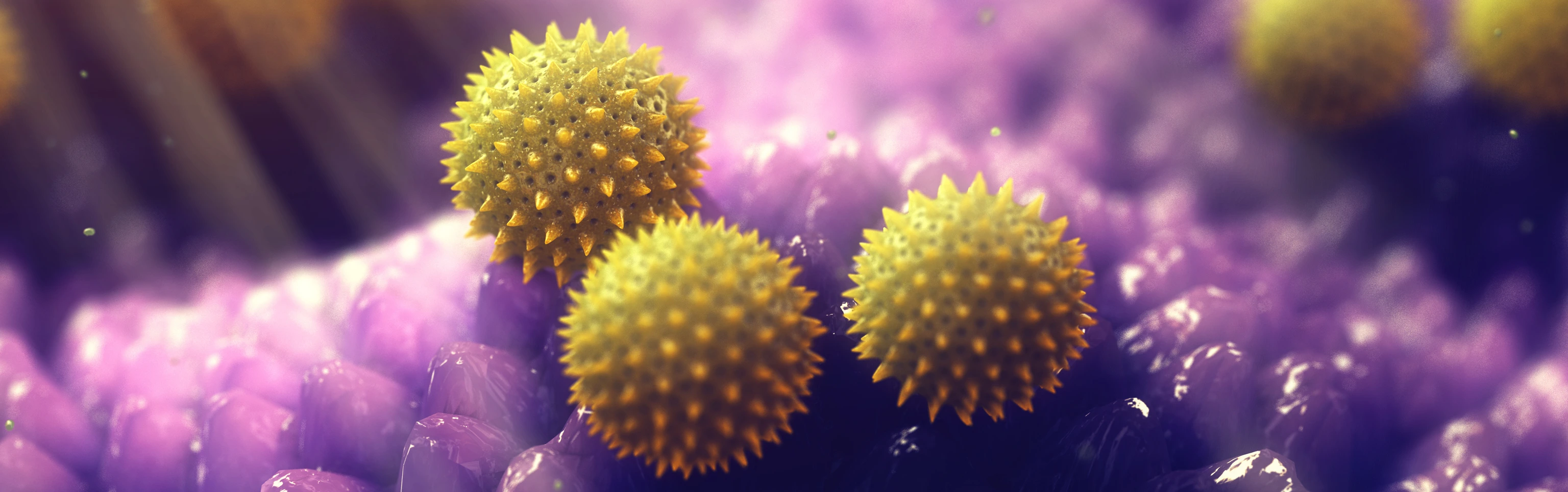 Pollen allergy is also known as hay fever or allergic rhinitis