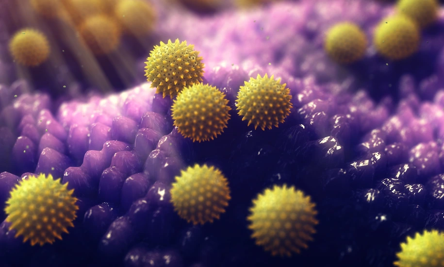 Pollen grains