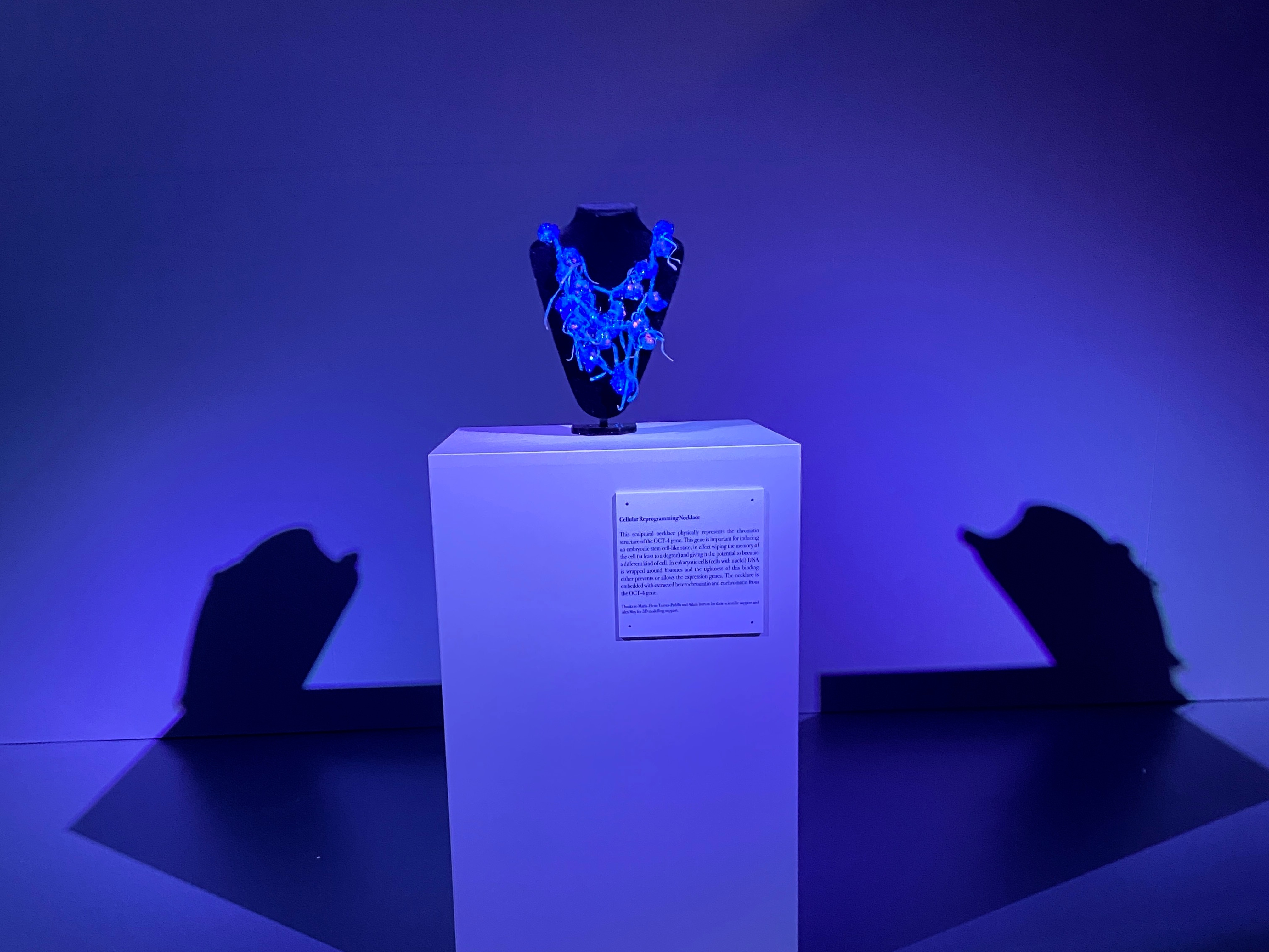 Art_the_IES_IMG_6256