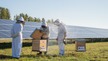 Photos du parc photovoltaïque de Blueberry