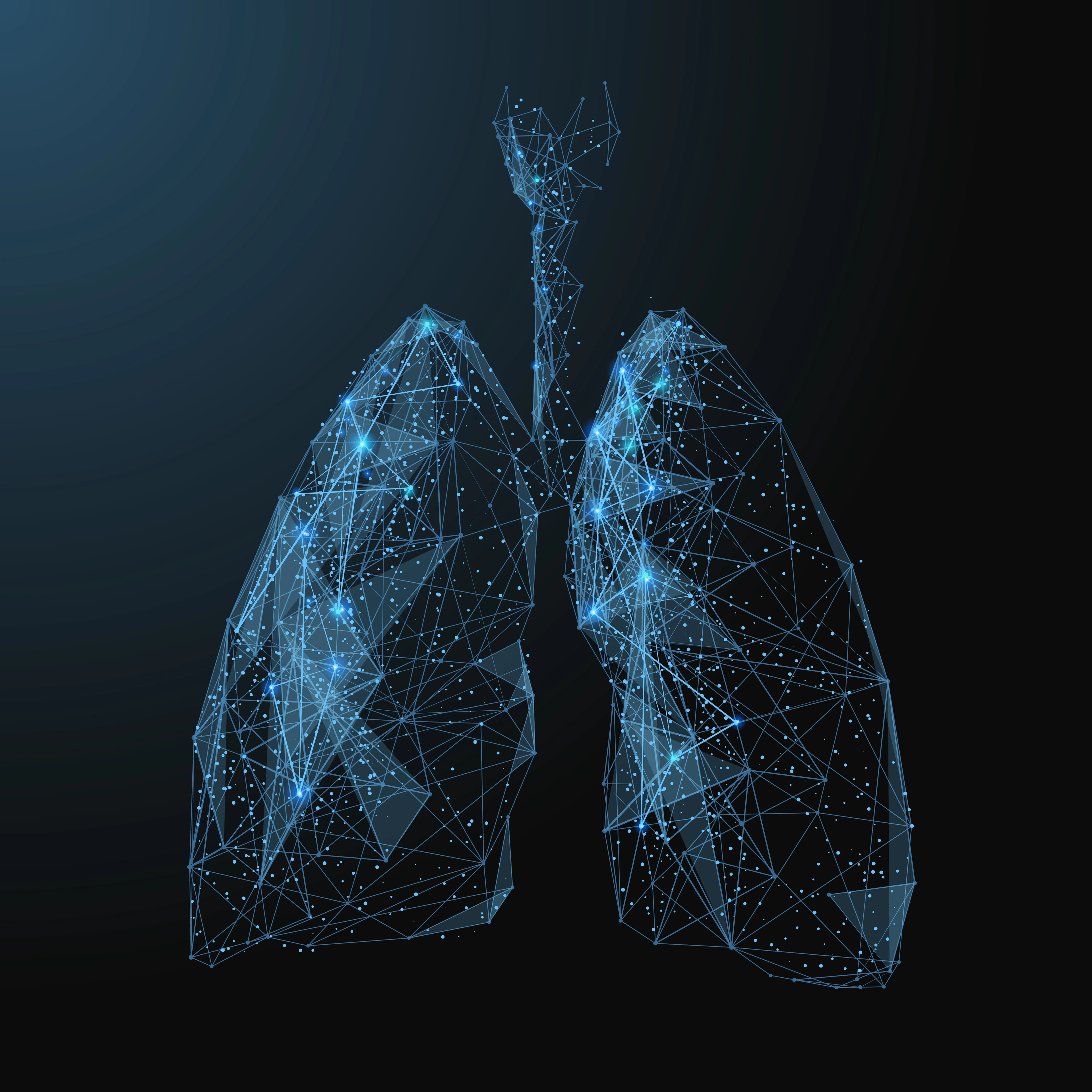 lungs low poly blue