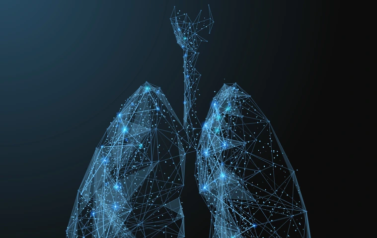 lungs low poly blue